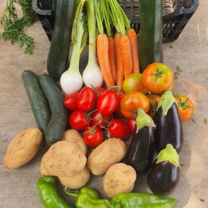 Cesta hortalizas frescas ecológicas